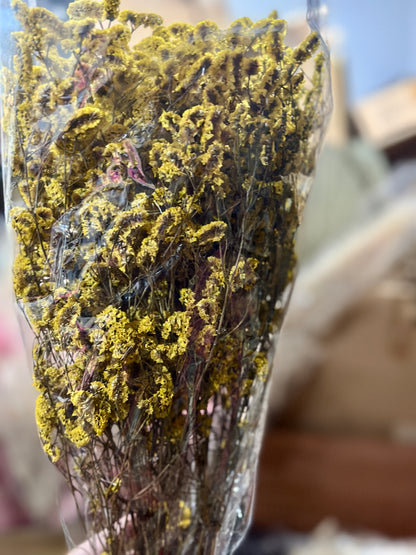 Crystal Grass