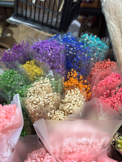 Baby's Breath