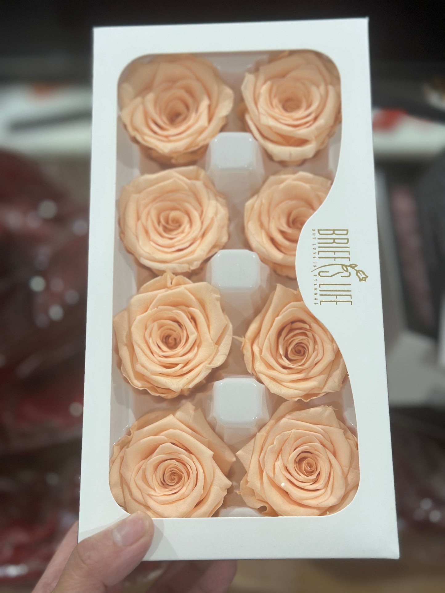 Grade A Preserved Roses 4cm (8 Roses/box)