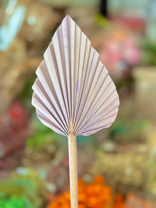 Beautiful Small Palm Leaves 10-12cm