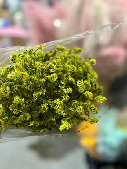 Crystal Grass