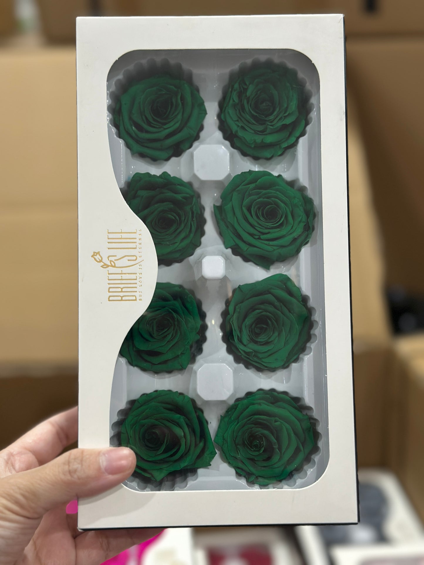 Grade A Preserved Roses 4cm (8 Roses/box)