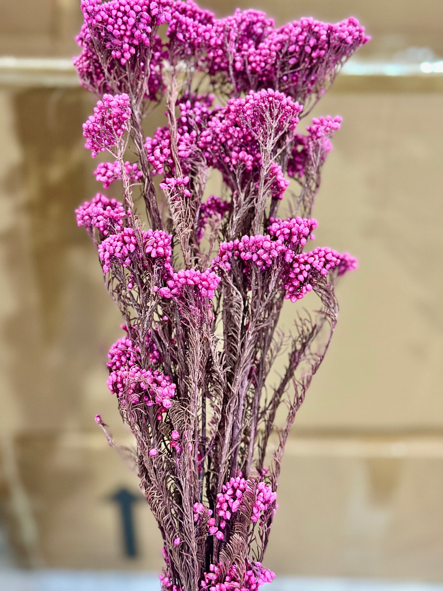Rice Flowers