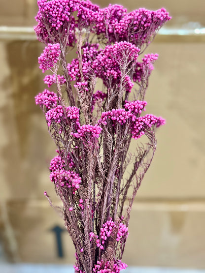 Rice Flowers