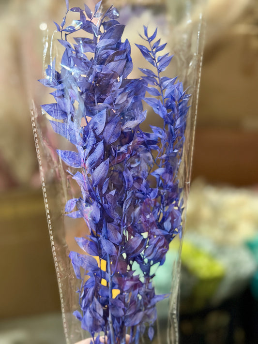 Dried Ruscus