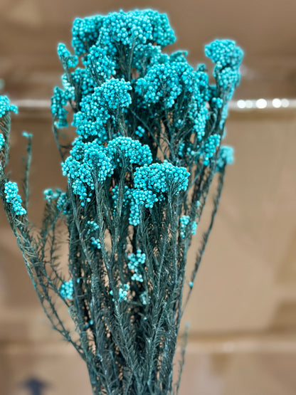 Rice Flowers