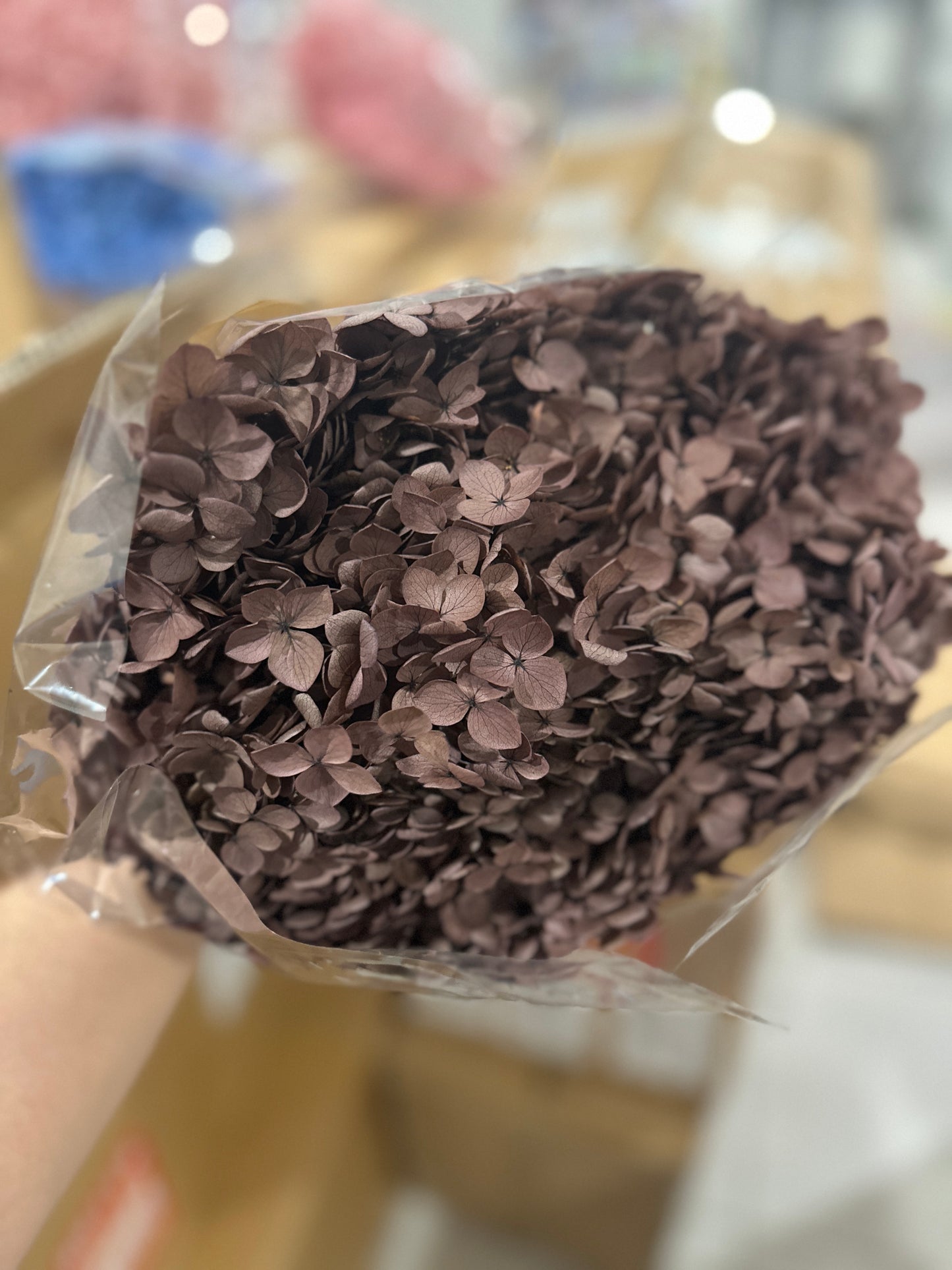 Anna Hydrangeas Big Bunch