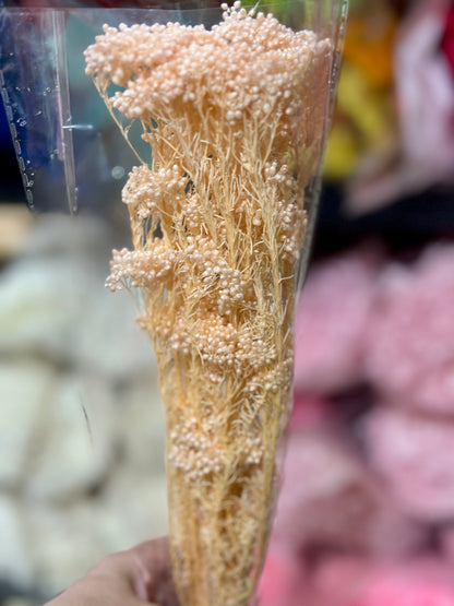 Rice Flowers