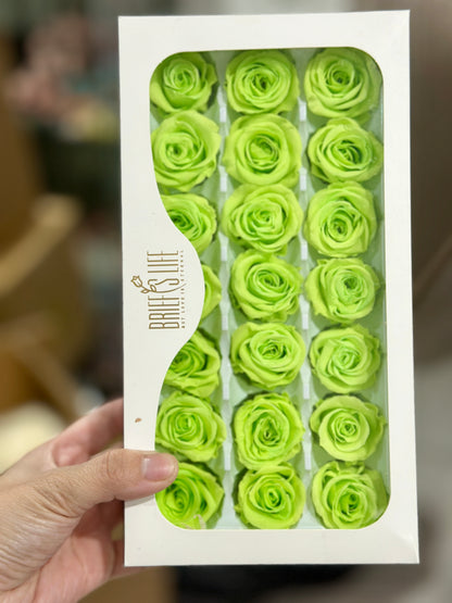 Preserved Roses - 21 pieces