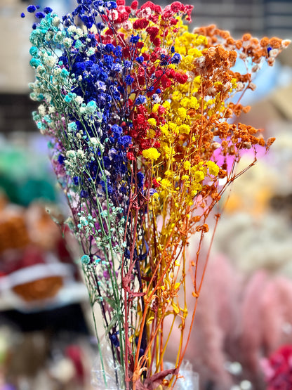 Baby's Breath