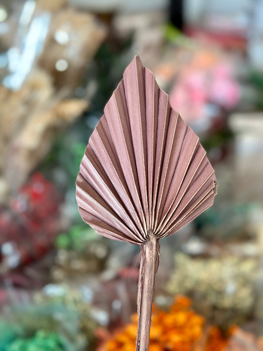 Beautiful Small Palm Leaves 10-12cm