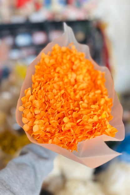 Anna Hydrangeas Big Bunch