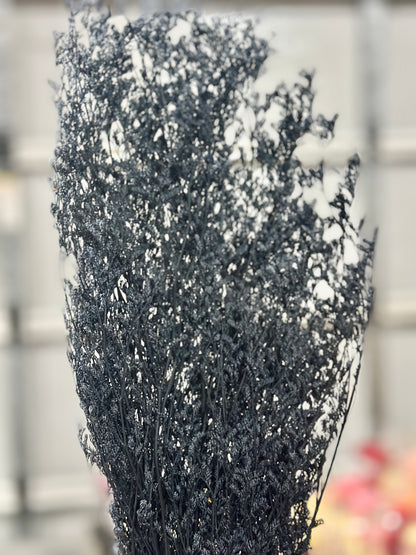Dried Misty / Limonium