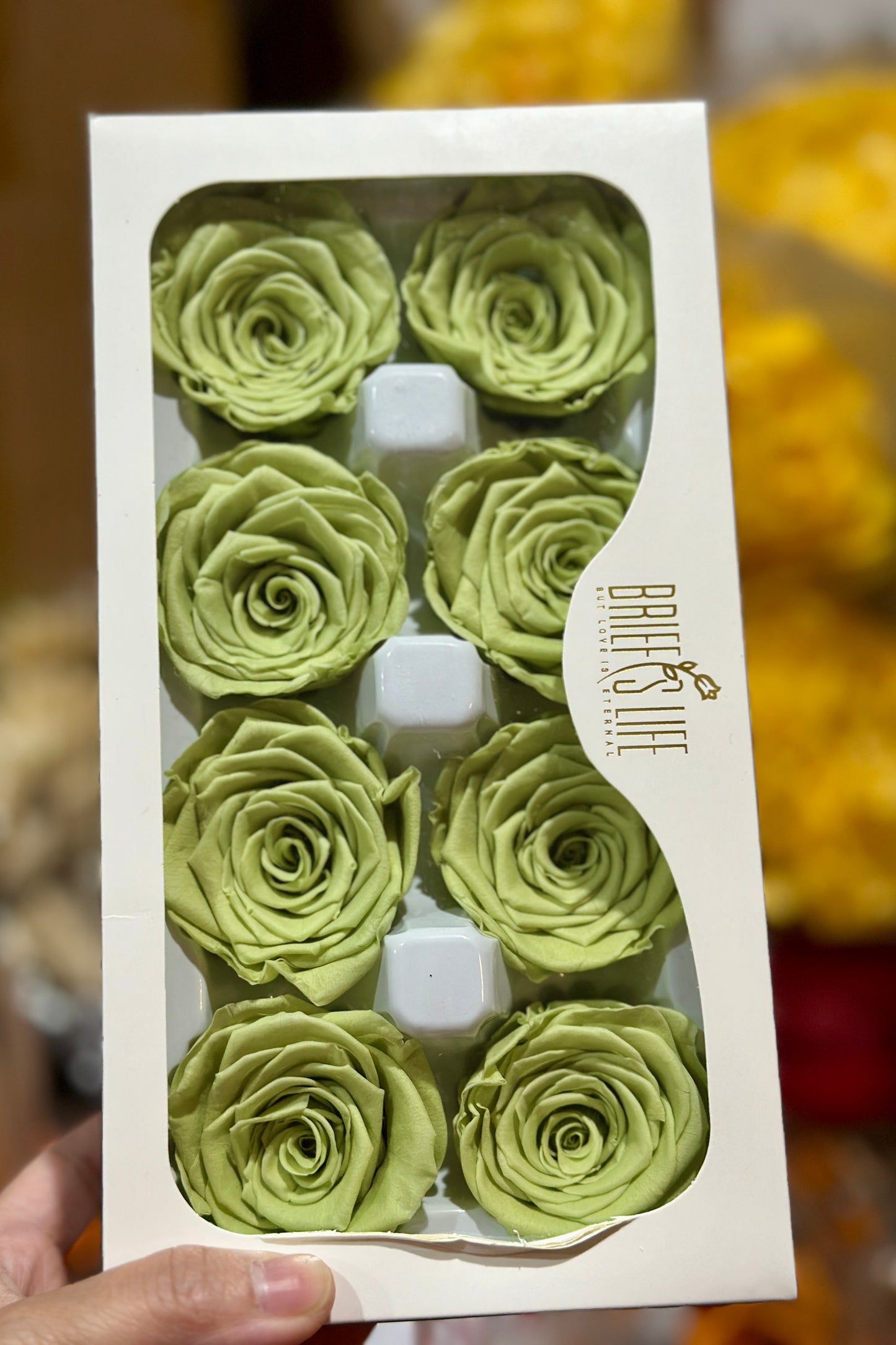 Grade A Preserved Roses 4cm (8 Roses/box)