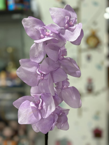 High Quality Real Touch Orchids