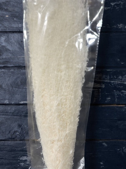 Horsetails/ Whisk