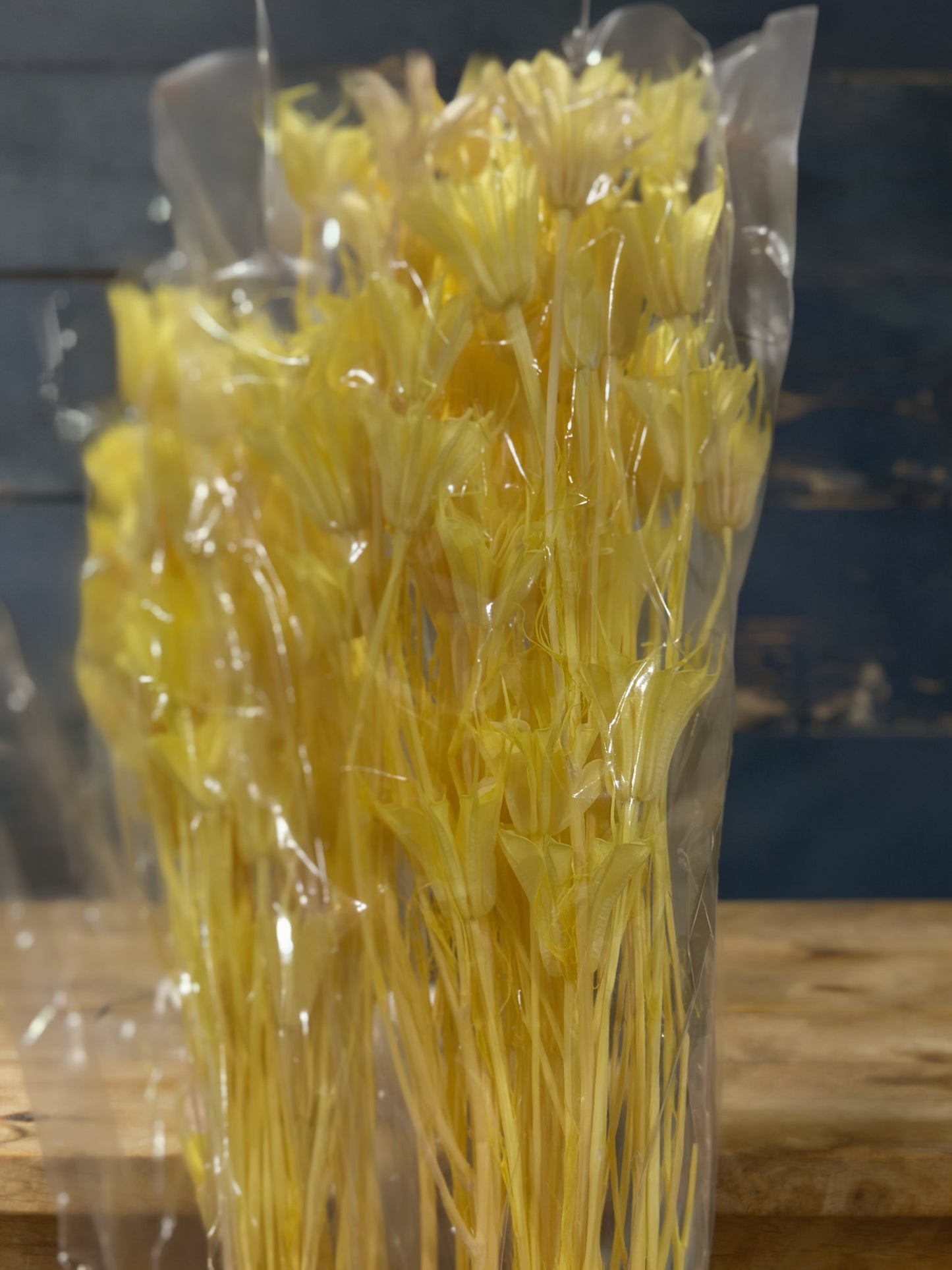 Nigella Flowers