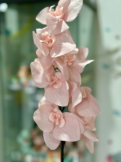 High Quality Real Touch Orchids