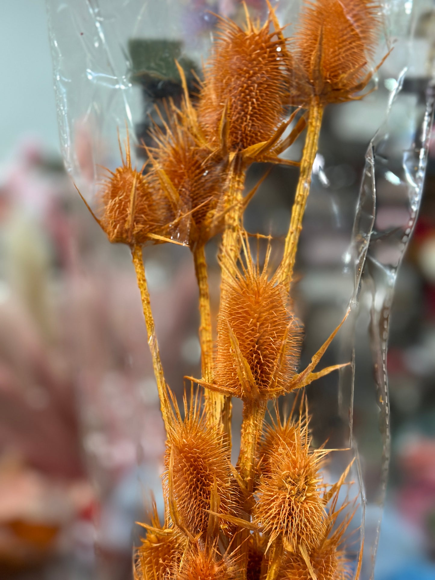 Teasels (Spray Heads)