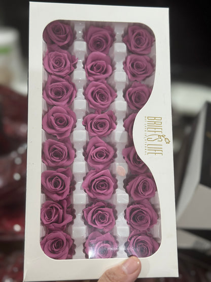 Preserved Roses - 21 pieces