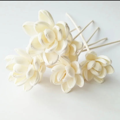 Sola Wood Flowers - Price per stem