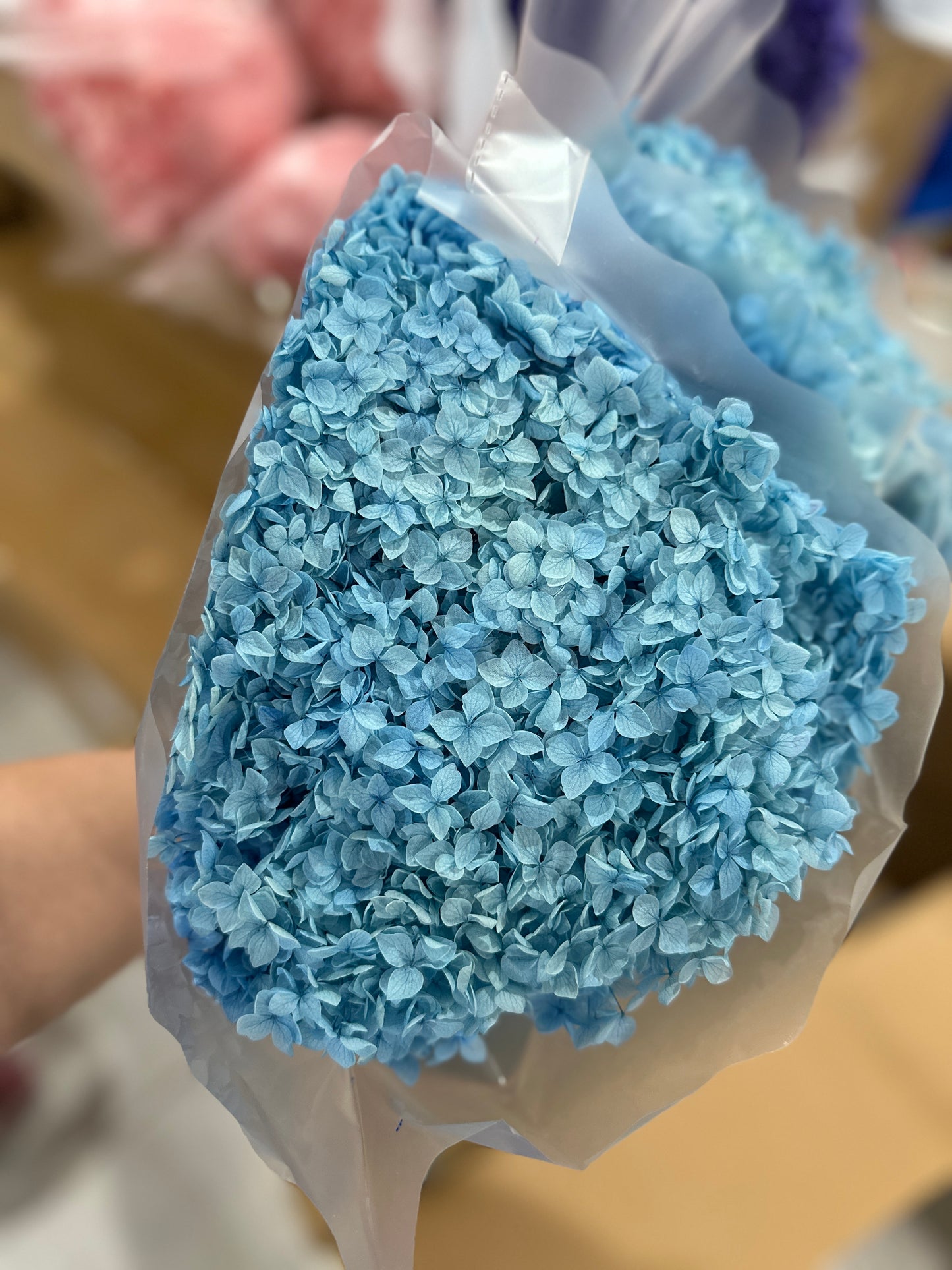 Anna Hydrangeas Big Bunch