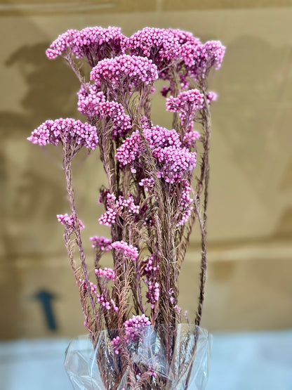 Rice Flowers