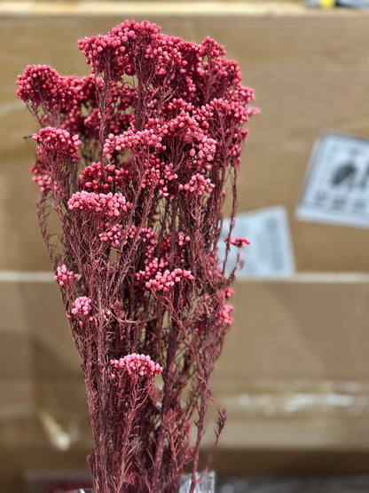 Rice Flowers