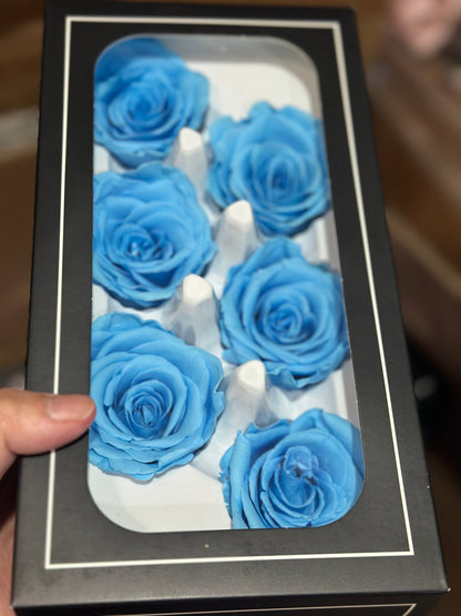 Grade A Preserved roses 5-6cm (6 Roses/Box)