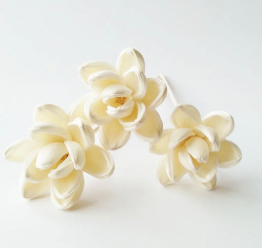 Sola Wood Flowers - Price per stem