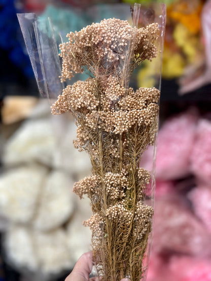 Rice Flowers