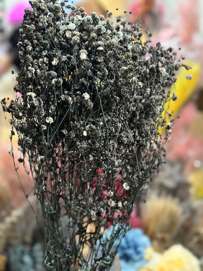 Baby's Breath