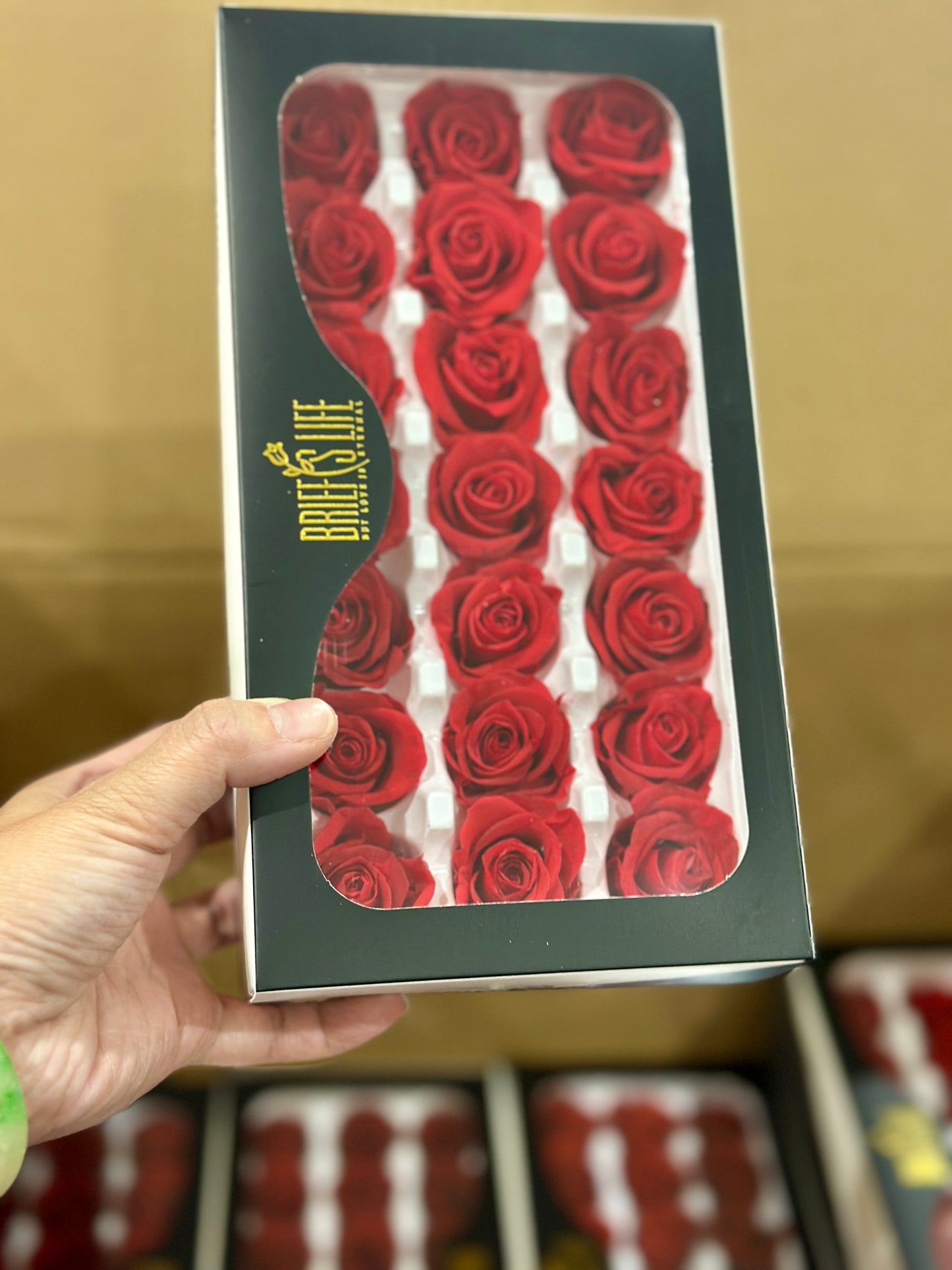Preserved Roses - 21 pieces
