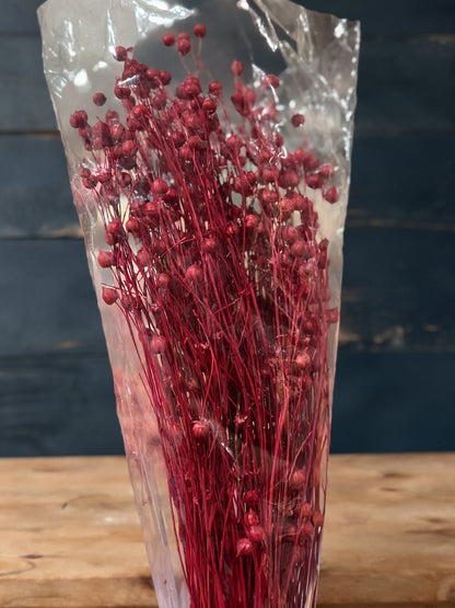 Preserved Flowers Rich Bean
