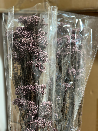 Rice Flowers