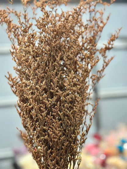 Dried Misty / Limonium