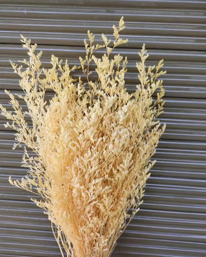 Dried Misty / Limonium