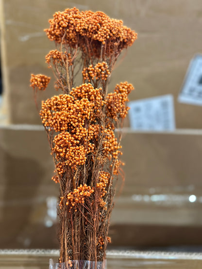 Rice Flowers