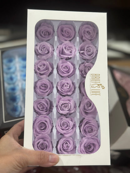 Preserved Roses - 21 pieces