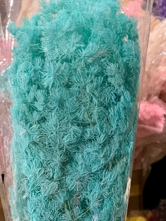 High Quality Ming Fern / Asparagus