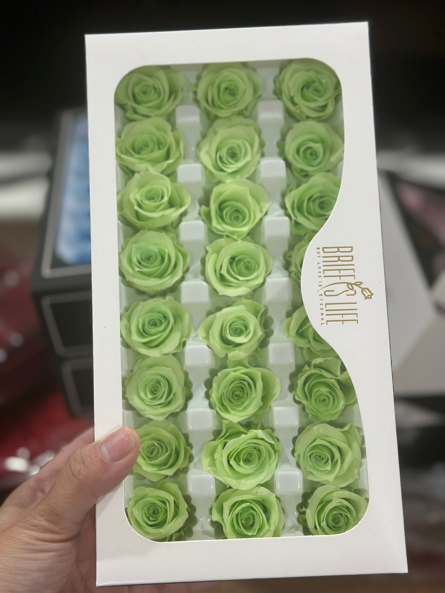 Preserved Roses - 21 pieces
