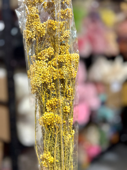 Rice Flowers