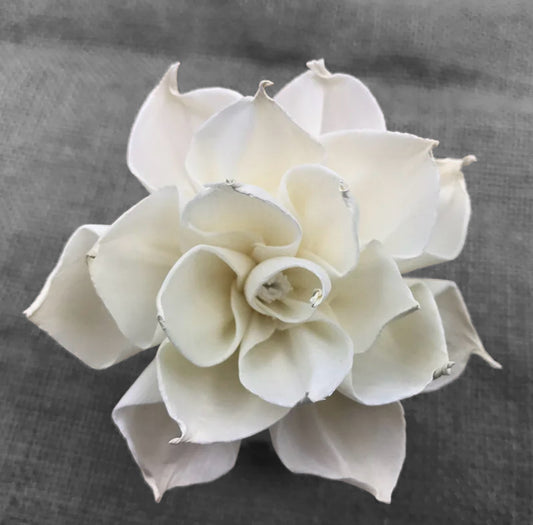 Sola Wood Flowers - Price per stem