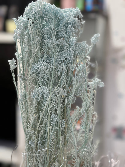 Rice Flowers