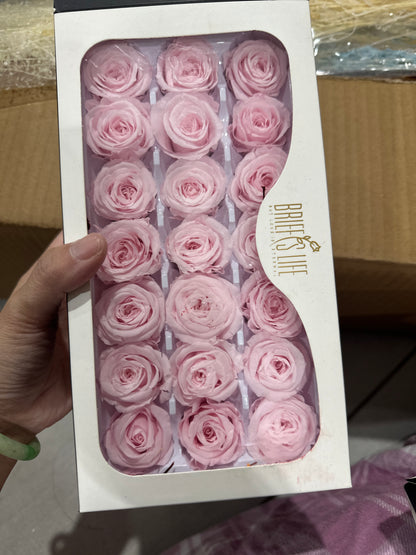 Preserved Roses - 21 pieces