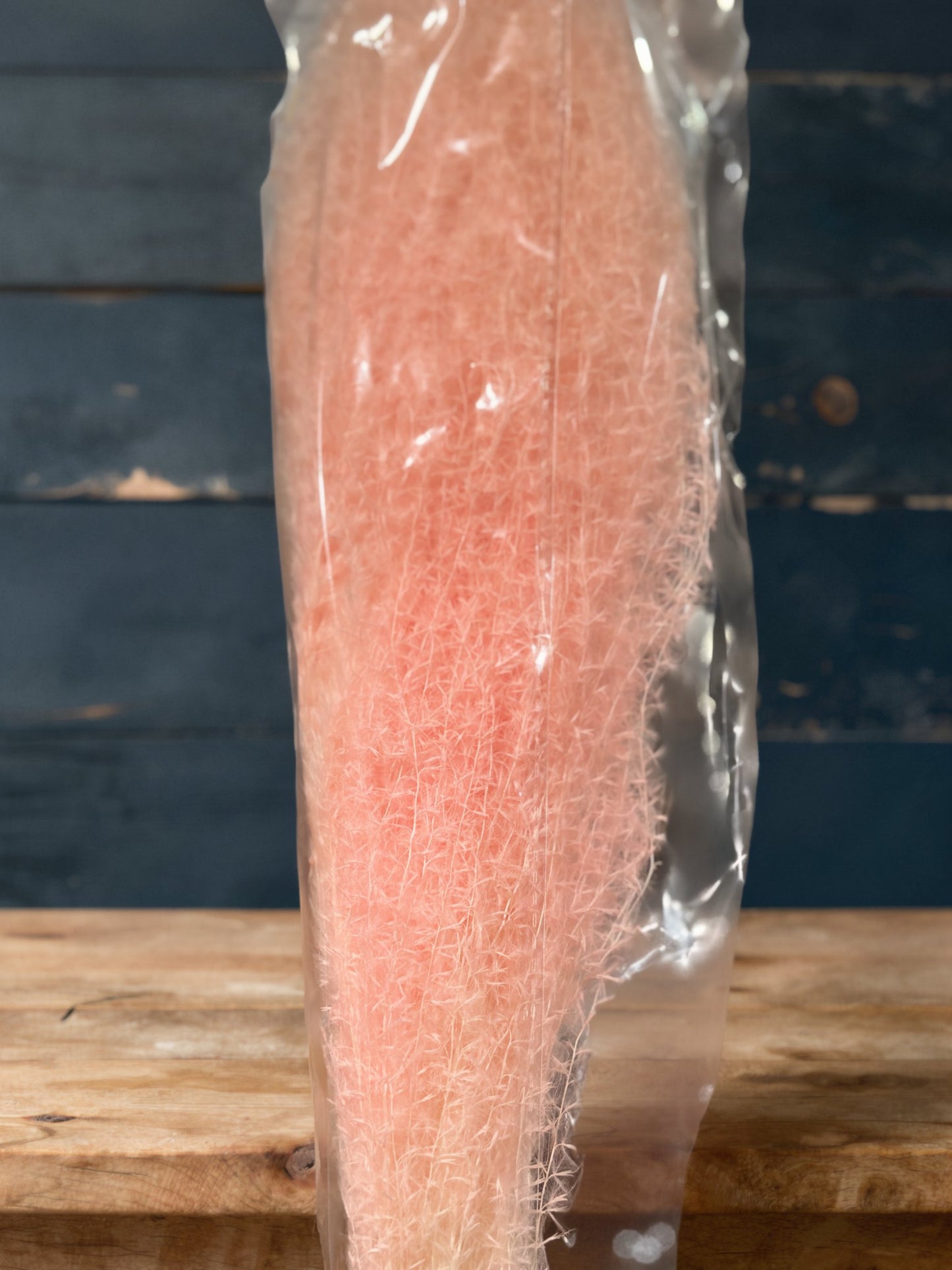 Horsetails/ Whisk