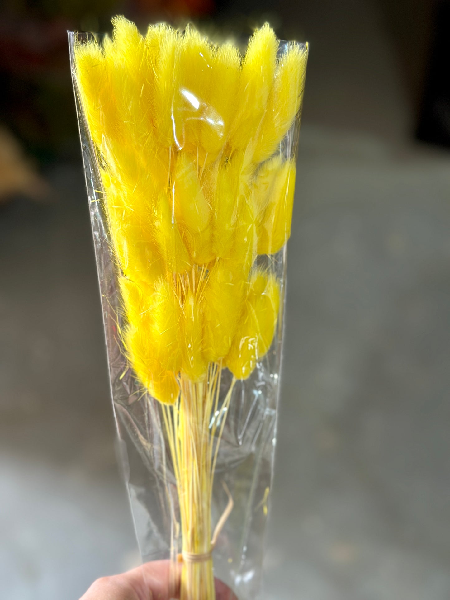 Bunny Tails