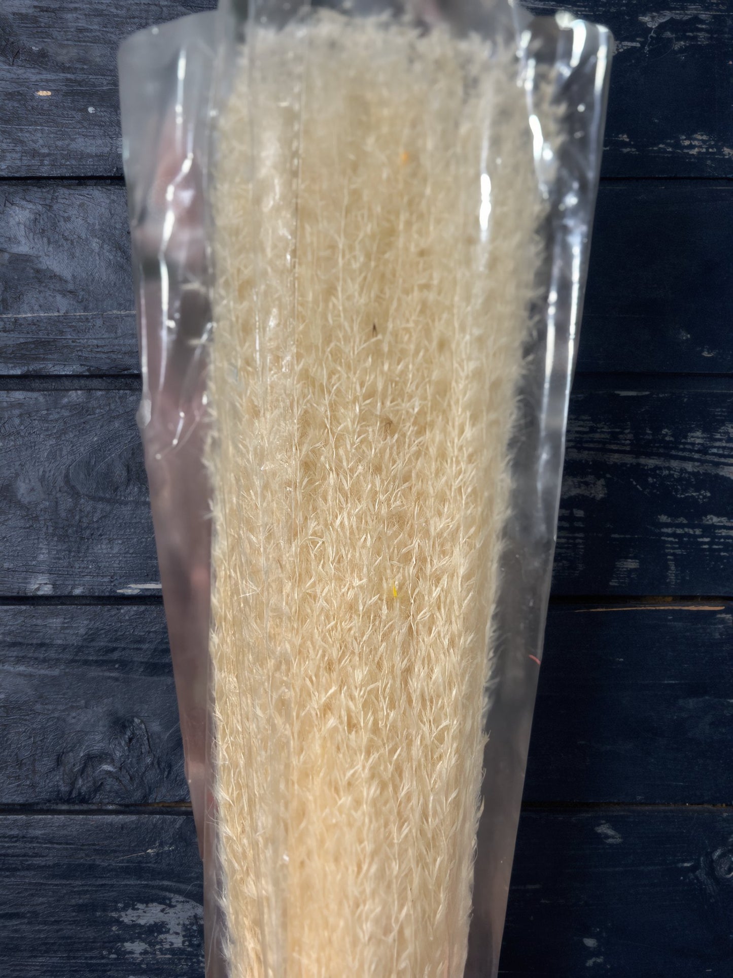Horsetails/ Whisk