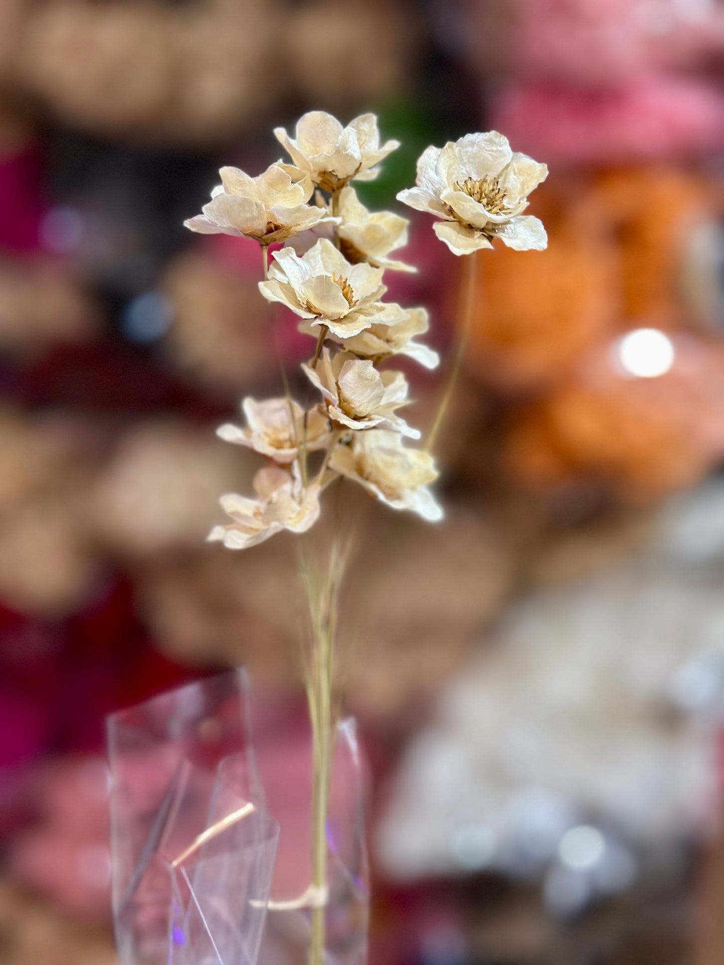 Small Bellflowers - 10 stems/Pack