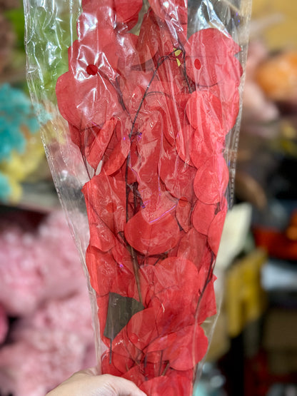Preserved Poly Gum
